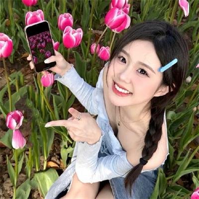 芙蓉春色
